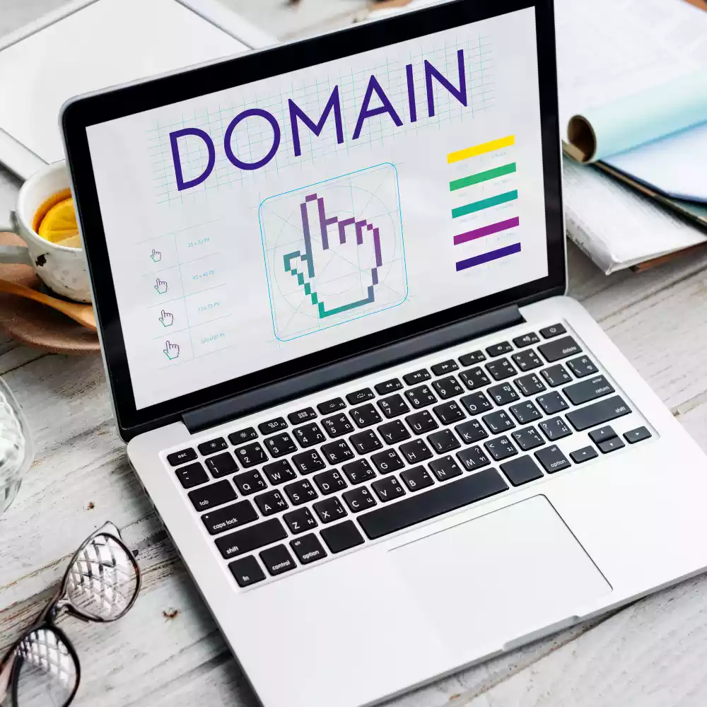 Domain Registration Services